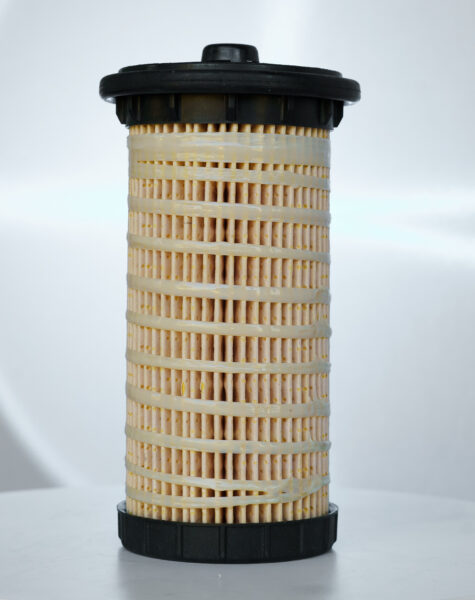 King Solomon Brand-08213